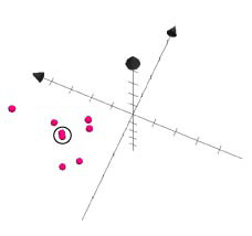 chemgpsnp_5.jpg