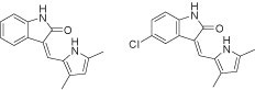 chemgpsnp_6.jpg